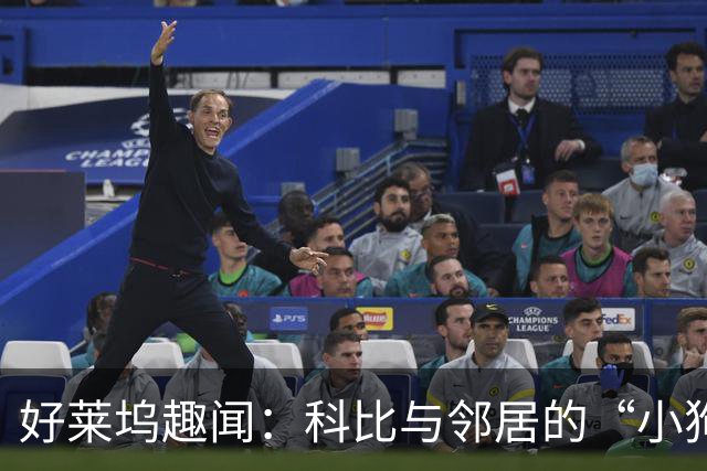 好莱坞趣闻：科比与邻居的“小狗大秘密